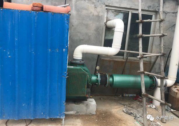 出蝦27斤/立方，連續(xù)三造成功后，工廠化養(yǎng)蝦在他看來(lái)并不難！