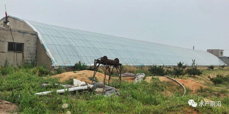 出蝦27斤/立方，連續(xù)三造成功后，工廠化養(yǎng)蝦在他看來(lái)并不難！